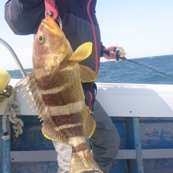 だて丸 釣果