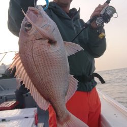 だて丸 釣果