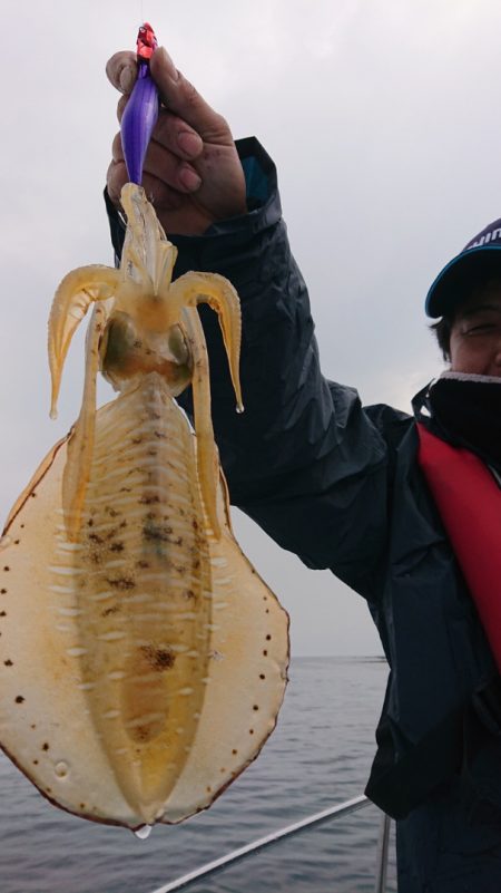 シースナイパー海龍 釣果