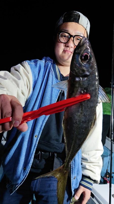 シースナイパー海龍 釣果