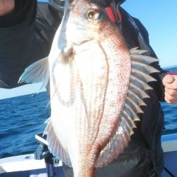 新幸丸 釣果