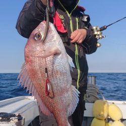 だて丸 釣果