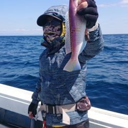 だて丸 釣果