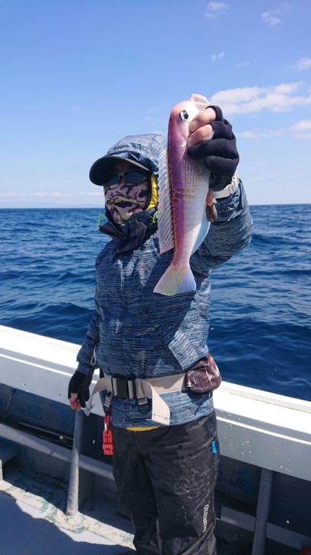 だて丸 釣果