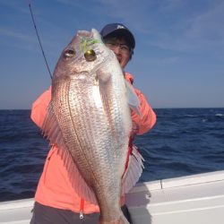 だて丸 釣果