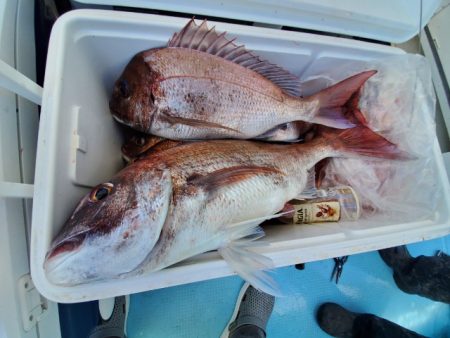 海晴丸 釣果