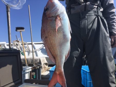 金栄丸 釣果