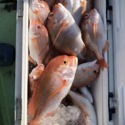 海龍丸（石川） 釣果