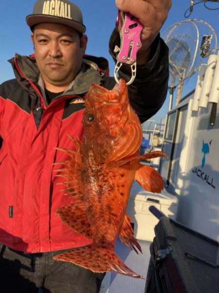 新幸丸 釣果