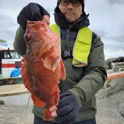 富士丸 釣果