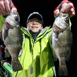 小島丸 釣果