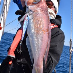 渡船屋たにぐち 釣果