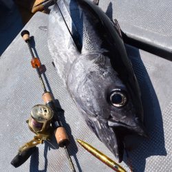 渡船屋たにぐち 釣果