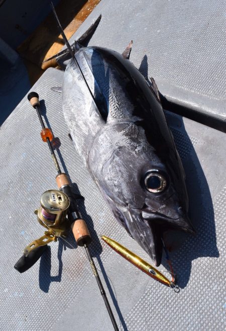 渡船屋たにぐち 釣果