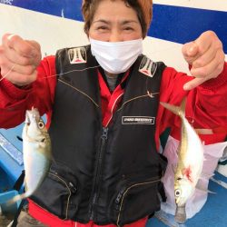 ヤザワ渡船 釣果