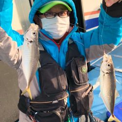 ヤザワ渡船 釣果