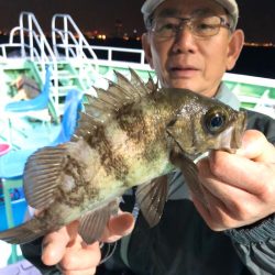 ヤザワ渡船 釣果