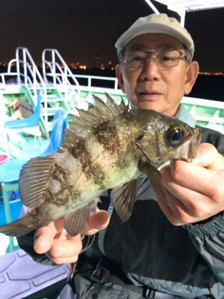 ヤザワ渡船 釣果