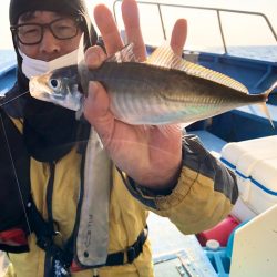 ヤザワ渡船 釣果