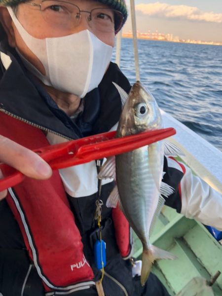 ヤザワ渡船 釣果