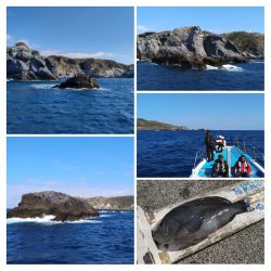 宮島丸 釣果