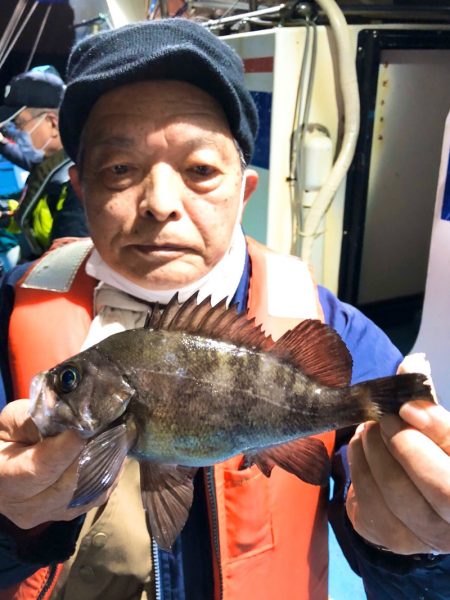 ヤザワ渡船 釣果