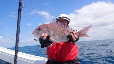 だて丸 釣果