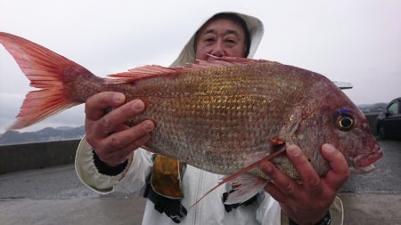 第三共栄丸 釣果