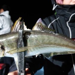 シースナイパー海龍 釣果