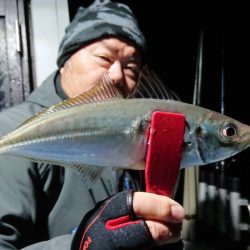 シースナイパー海龍 釣果