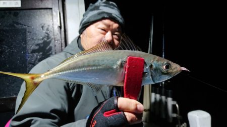 シースナイパー海龍 釣果