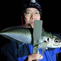 シースナイパー海龍 釣果