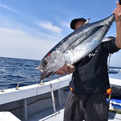 渡船屋たにぐち 釣果