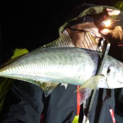 シースナイパー海龍 釣果