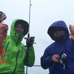 渡船屋たにぐち 釣果