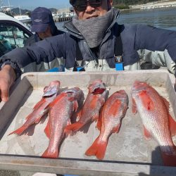 ぽん助丸 釣果