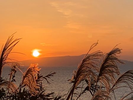 晃山丸 釣果