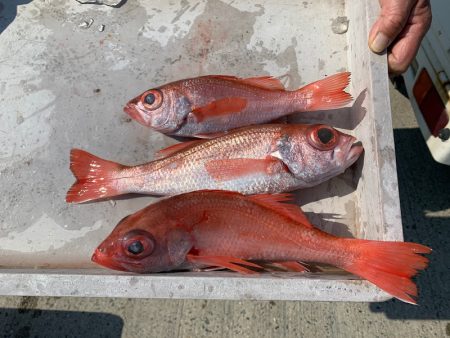 ぽん助丸 釣果