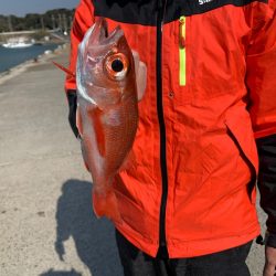 ぽん助丸 釣果