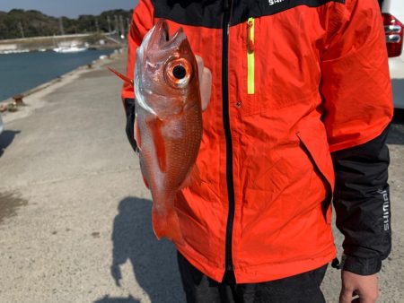 ぽん助丸 釣果