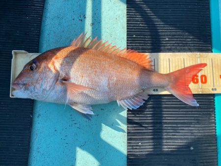 和栄丸 釣果