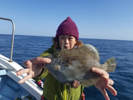 清和丸 釣果