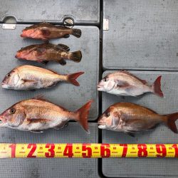 遊漁船高橋 釣果