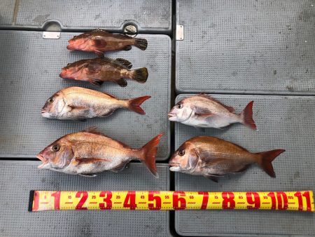 遊漁船高橋 釣果