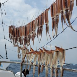 春盛丸 釣果