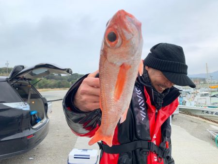 ぽん助丸 釣果