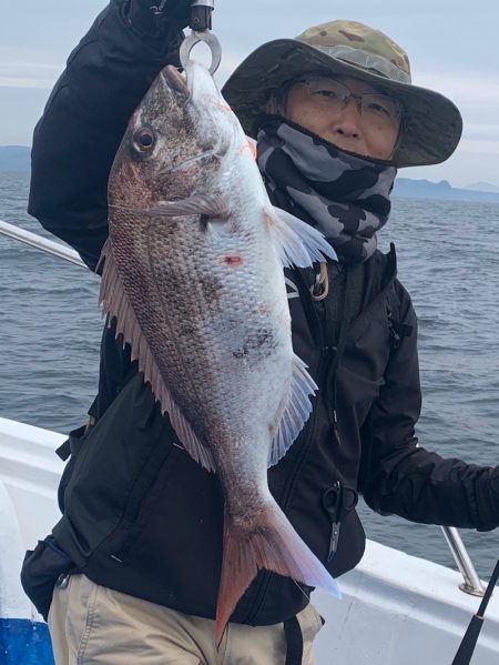 釣鯛洋 釣果