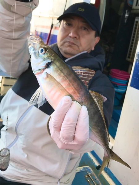 ヤザワ渡船 釣果