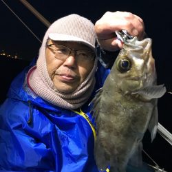 ヤザワ渡船 釣果