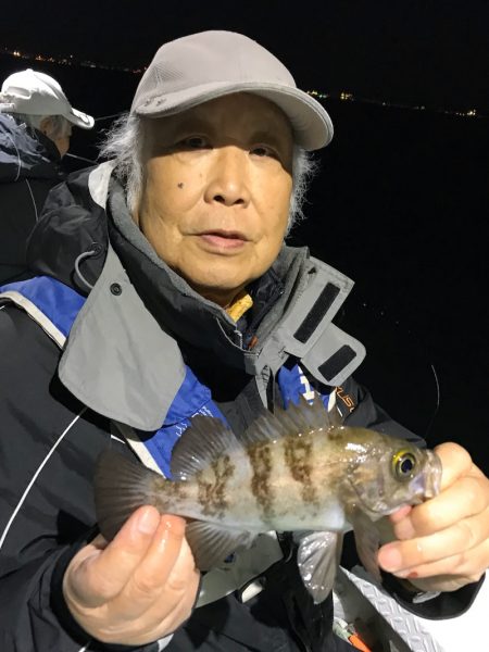 ヤザワ渡船 釣果